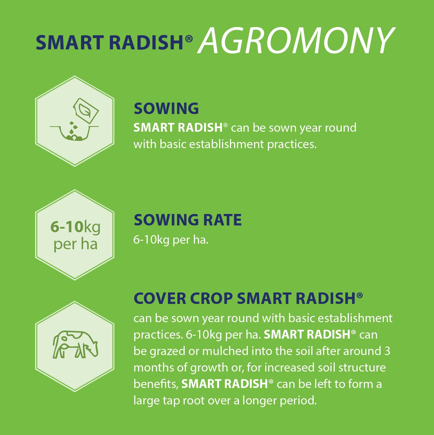 smart-radish-agromony2.jpg