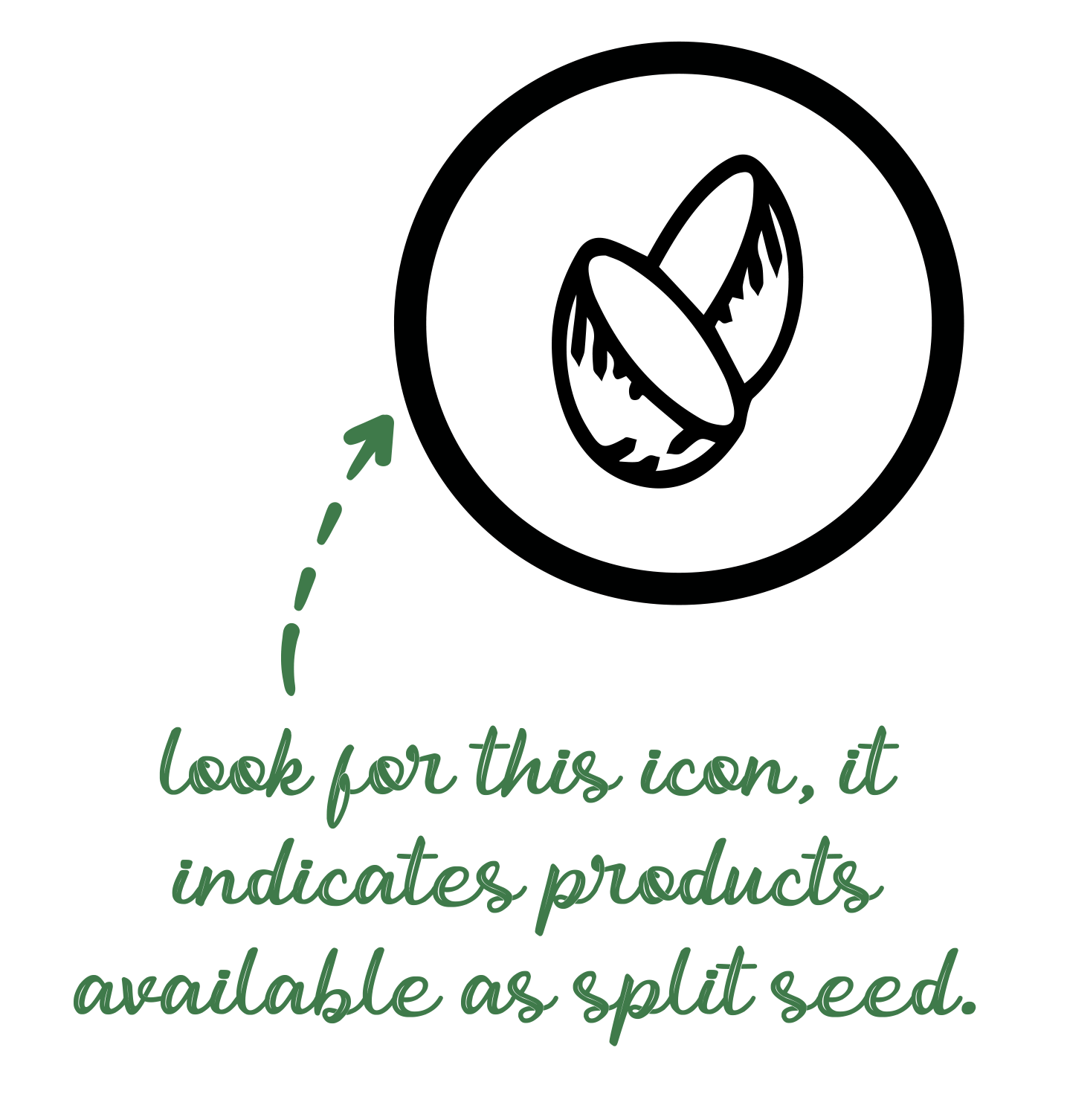 icon-for-split-seed.png