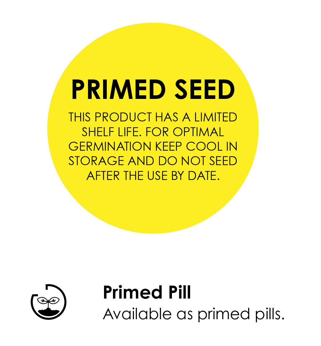 PRIMED-PILLS-ICON.png